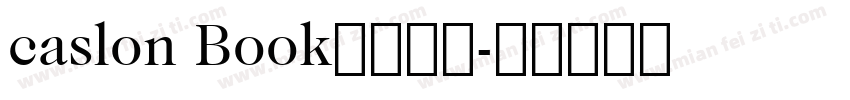 caslon Book中等斜体字体转换